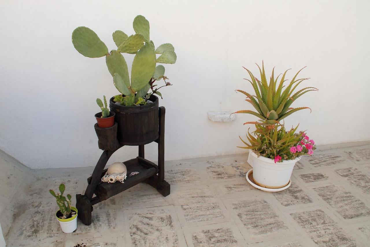 Apartment Casa Donnalby